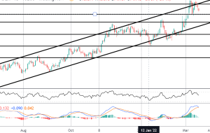 کانون توجه بازار: دلار با وجود فدرال‌رزرو هاوکیش سقوط می‌کند، چطور؟