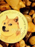 توئیت ایلان ویدیویی که همه چیز را درباره Dogecoin توضیح می دهد