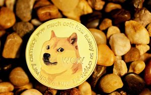 توئیت ایلان ویدیویی که همه چیز را درباره Dogecoin توضیح می دهد