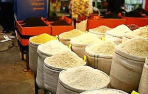 دبیر کل اتحادیه بنکداران مواد غذایی: قیمت برنج شمال بین ۷۰ تا ۱۱۰ هزار تومان است!