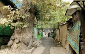 ابلاغ مراتب ثبت ملی ۷ میراث طبیعی به استاندار تهران ابلاغ مراتب ثبت ملی ۷ میراث طبیعی به استاندار تهران