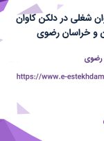 استخدام 13 عنوان شغلی در دلکن کاوان پاسارگاد در تهران و خراسان رضوی