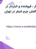 استخدام حسابدار، فروشنده و انباردار در مجموعه کیف و کفش چرم شیفر در تهران