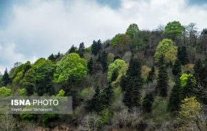 ایسنا – بهار در گیلان