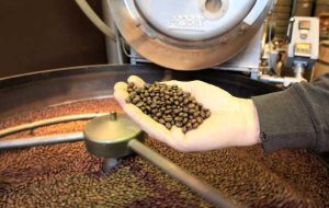 بازار جهانی قهوه در سال 2021/2022 به رکورد 3.1 میلیون کسری کیسه ای رسید