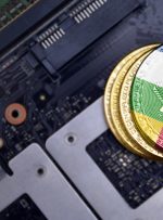 جمهوری آفریقای مرکزی بیت کوین را به عنوان ارز مرجع پذیرفته است – دفتر ریاست جمهوری – اخبار ویژه بیت کوین