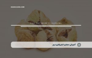 دوره انجیرکاری دیم – دوره | مدرک معتبر