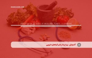 دوره بهره بردار بذور گیاهان دارویی – دوره | مدرک معتبر