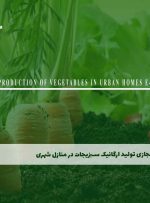 دوره تولید ارگانیک سبزیجات در منازل شهری – دوره | مدرک معتبر