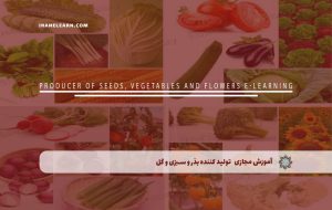 دوره تولید کننده بذر و سبزی و گل – دوره | مدرک معتبر