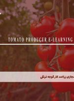 دوره زراعت کار گوجه فرنگی – دوره | مدرک معتبر