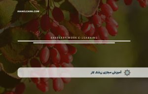 دوره زرشک کار – دوره | مدرک معتبر