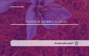 دوره زعفران کار – دوره | مدرک معتبر