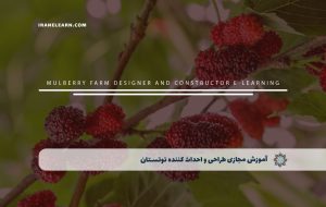 دوره طراحی و احداث کننده توتستان – دوره | مدرک معتبر