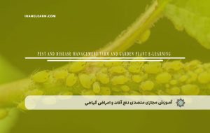 دوره متصدی دفع آفات و امراض گیاهی – دوره | مدرک معتبر