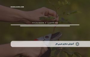 دوره هرس کار – دوره | مدرک معتبر