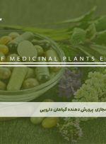 دوره پرورش دهنده گیاهان دارویی – دوره | مدرک معتبر