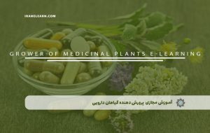 دوره پرورش دهنده گیاهان دارویی – دوره | مدرک معتبر