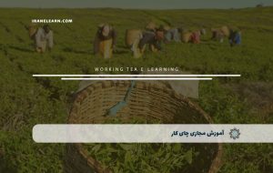 دوره چای کار – دوره | مدرک معتبر