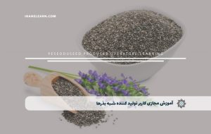 دوره کاربر تولید کننده شبه بذرها – دوره | مدرک معتبر