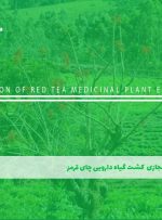 دوره کشت گیاه دارویی چای قرمز – دوره | مدرک معتبر