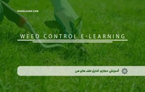 دوره کنترل علف های هرز – دوره | مدرک معتبر