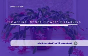دوره گل کاری گل های درون خانه ای – دوره | مدرک معتبر