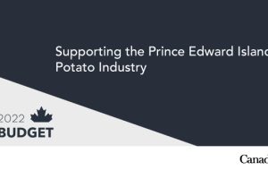 دولت کانادا به کار برای حمایت از کشاورزان سیب زمینی جزیره پرنس ادوارد ادامه می دهد