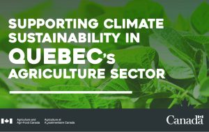 دولت کانادا در اتخاذ شیوه های پایدار و فناوری های پاک در کشاورزی سرمایه گذاری می کند