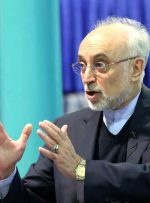 صالحی: اگر موضع منطقی ایران نبود برجام فسخ می‌شد
