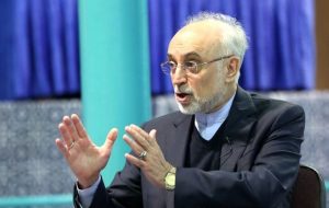 صالحی: اگر موضع منطقی ایران نبود برجام می‌شد