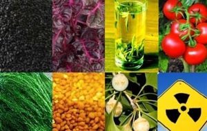 معافیت مالیاتی محصول‌های کشاورزی فرآوری نشده