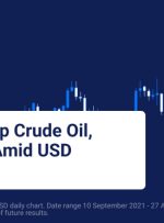 نوسان قیمت نفت خام و سهام جهانی را تحریک کرد