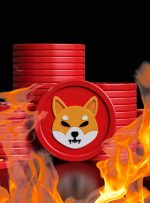 پورتال Burn جدید Shiba Inu به مشعلان SHIB برای از بین بردن توکن هایشان پاداش می دهد – Altcoins Bitcoin News