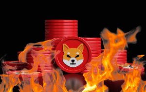 پورتال Burn جدید Shiba Inu به مشعلان SHIB برای از بین بردن توکن هایشان پاداش می دهد – Altcoins Bitcoin News