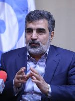 کمالوندی: ایجاد نیروگاه‌های هسته‌ای امری فانتزی نیست