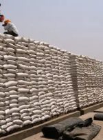 ممنوعیت صادرات گندم هند با افزایش بحران غذایی در جهان