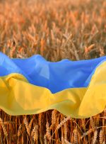 سهم اوکراین در تامین جهانی غذا/ گرانی محصولات غذایی در کمین دنیا است؟