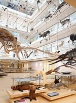از تجربه پوشیدن لباس فضایی تا قدم زدن با دایناسورها در موزه‌های علوم