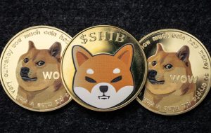 Meme Token Carnage — قیمت‌های DOGE، SHIB کاهش یافته است، Dogecoin 82 درصد از سال گذشته کاهش یافته است – به‌روزرسانی‌های بازار اخبار بیت‌کوین