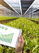 بازار سرمایه، ابزاری مناسب برای افزایش سرمایه‌گذاری در بخش کشاورزی