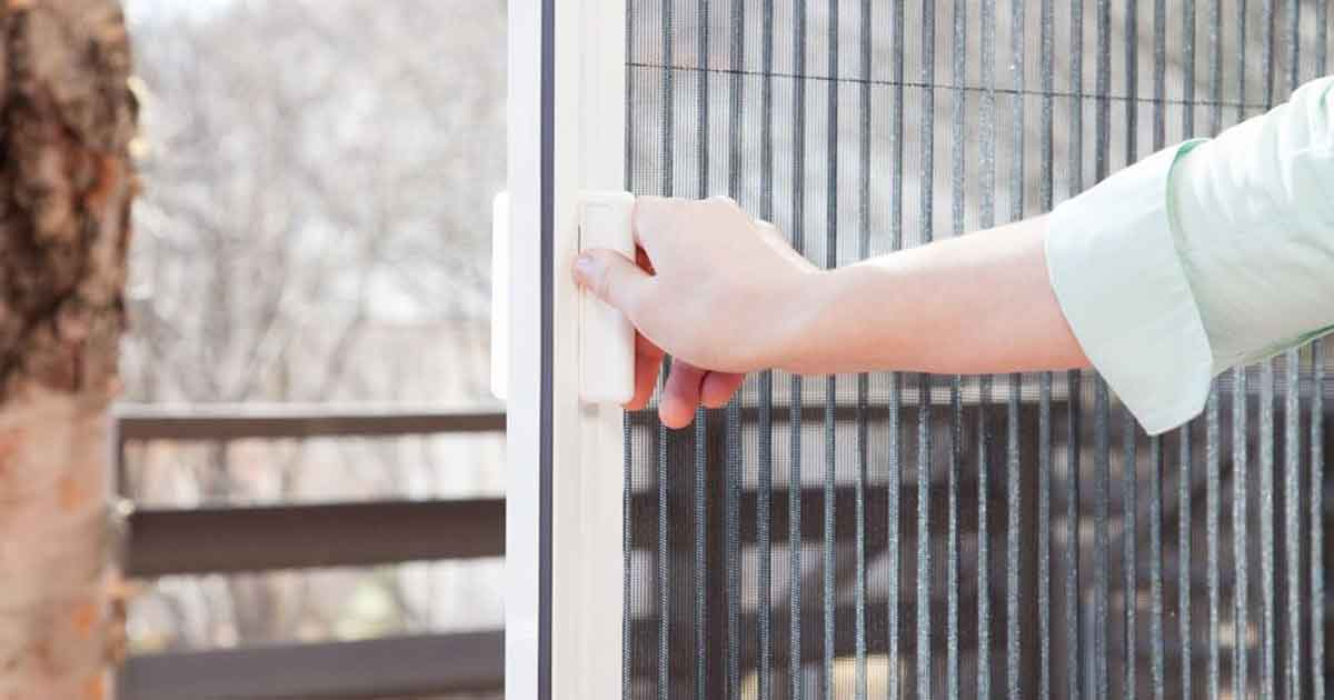 توری پلیسه را بشناسید