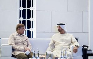 دیدار شهباز شریف و ولیعهد ابوظبی در امارات دیدار شهباز شریف و ولیعهد ابوظبی در امارات