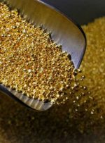 روسیه به بانک اعتباری مسکو مجوز صادرات طلا را می دهد