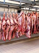 قیمت گوشت ۲۶ اردیبهشت ۱۴۰۱/ شقه گوسفندی ۱۲۹ هزار تومان