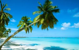 مرگ مشکوک ۳ گردشگر در یک جزیره