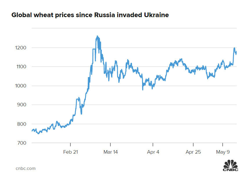 ممنوعیت صادرات گندم هند با افزایش بحران غذایی در جهان