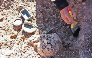 نامه معاون میراث فرهنگی به مجلس درباره طرح «استفاده بهینه از اشیای باستانی و گنج‌ها»: انصراف دهید