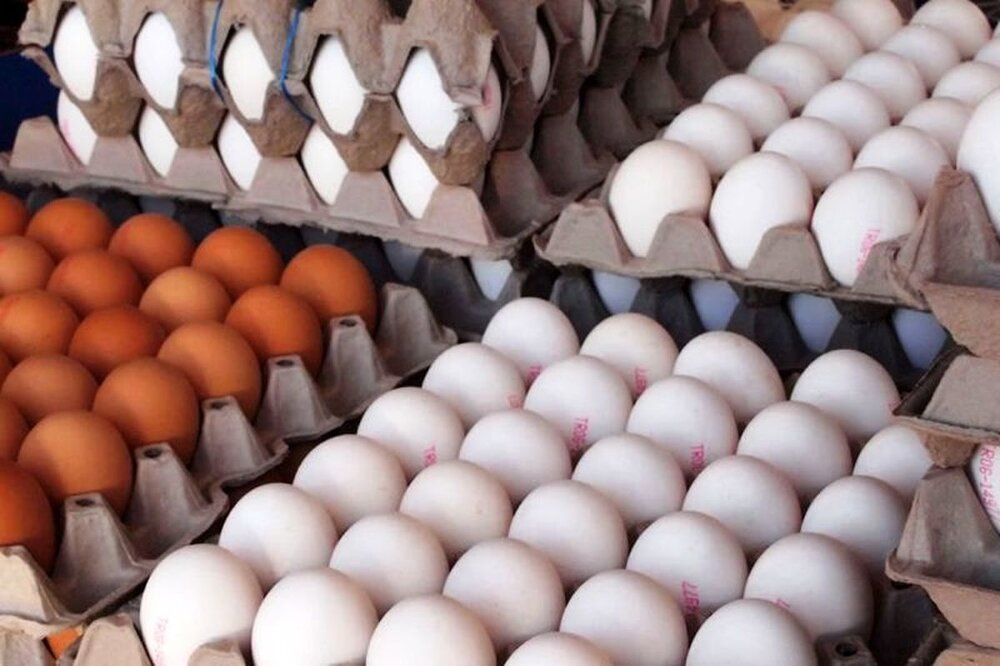 نرخ مصوب هر کیلوگرم تخم‌مرغ اعلام شد