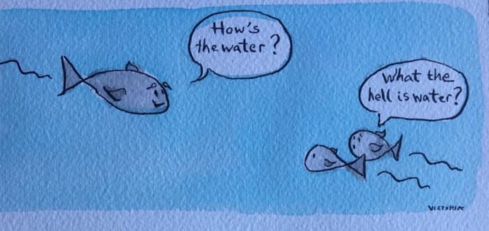 درک سیستم پولی برای دیدن مشکلات سیستم فعلی و درک واقعی بیت کوین و اهمیت آن اساسی است.